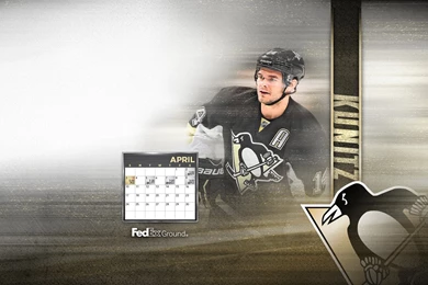 Pittsburgh Penguins Wallpapers   Pittsburgh Penguins   Multimedia