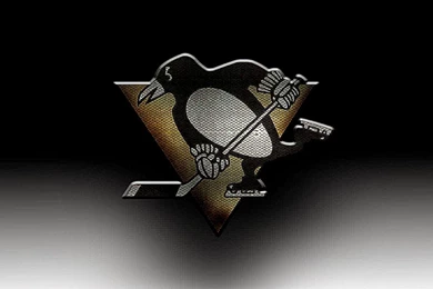 Penguins Best Hd Wallpapers Android