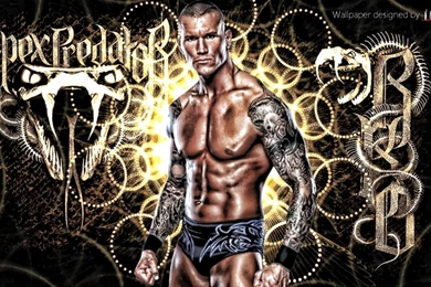 WWE Wallpapers   HDWPlan
