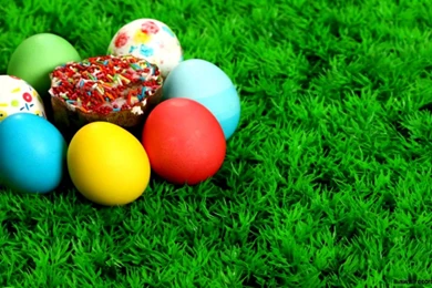 Windows 8 1 Wallpapers Hd Free Download