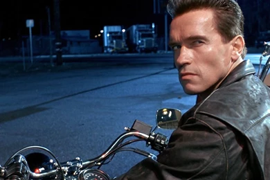 Arnold Schwarzenegger Terminator 2, Walls, Actors, Celebrity ...