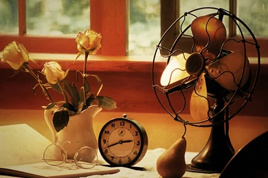 Science Knowledge Is Disturbing, Retro Fan Wallpaper, Censorship ...