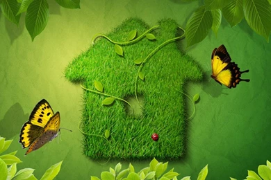 Wallpapers Design Widescreen Landscape Resolution 1366x768 ...