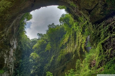 Rain Forest HD Desktop Wallpapers : Widescreen : High Definition ...