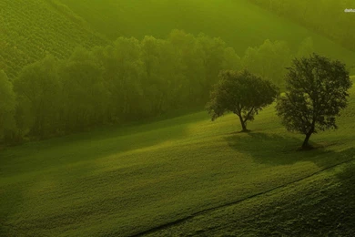 Wallpapers Wide Stay002