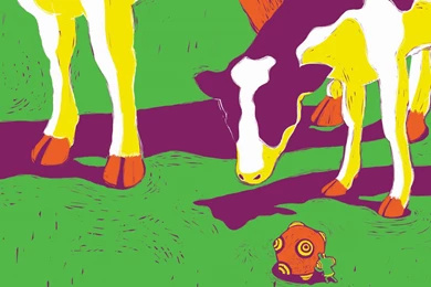 Download Cows Katamari Wallpapers 1280x1024