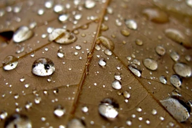 Wallpapers For Kindle Fire Hd