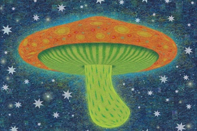 Katamari Damacy   Wallpapers