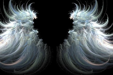 Black Winged Angel Wallpapers