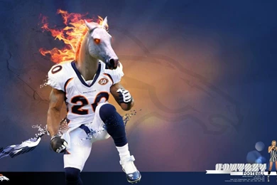 Denver Broncos Wallpapers 1920x1200   1 Photo By Vrajy