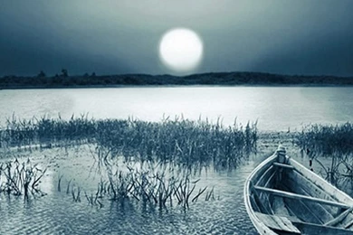 Best Wallpapers In The World Free Download   Wallpapers For Mobile