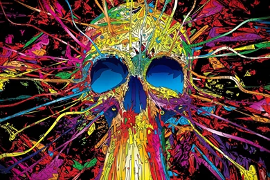 HD Trippy Skull Psychedelic Wallpapers For Desktop   HiReWallpapers ...