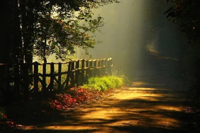 Samsung Galaxy Hd Wallpapers