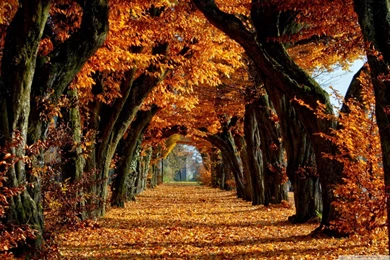 1680x1050px 960.15 KB Beautiful Wallpapers