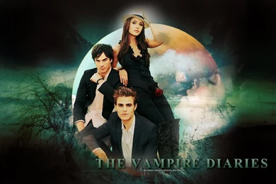 Image   Wallpaper tvd trio.jpg   The Vampire Diaries Wiki   Wikia