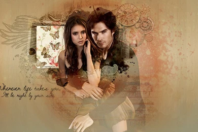 TVD Wallpapers   Delena By E transitions On DeviantArt