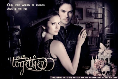 TVD & Twilight   Sakkara98 And Cie. Wallpapers (32193478)   Fanpop