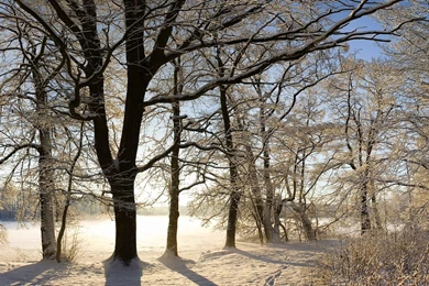 Scenic Winter HD PC Wallpapers 5835   Amazing Wallpaperz