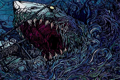 Download Sharks Parkway Drive Wallpapers 1019x768