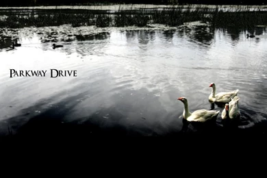 Parkway Drive Wallpaper, Picture, Photo, Image