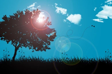 Spring Mid Morning   Wallpapers   CreateBlog