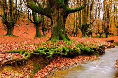 Beautiful Scenic Wallpapers   Wallpapers Cave