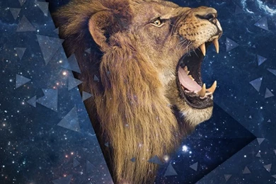 SPace Leo Shouting Lion iPhone 4s Wallpapers Download