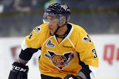 NASHVILLE PREDATORS Nhl Hockey (80) Wallpapers