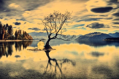 TV Show Wallpapers HD Free Backgrounds For Desktop, Mobile, And Tablet