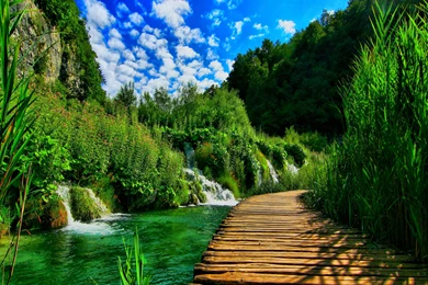 Green Nature Desktop Backgrounds