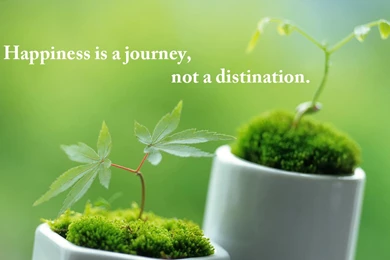 Happy Quotes Wallpapers 5378 1280x800 Px ~ WallpaperFort.com