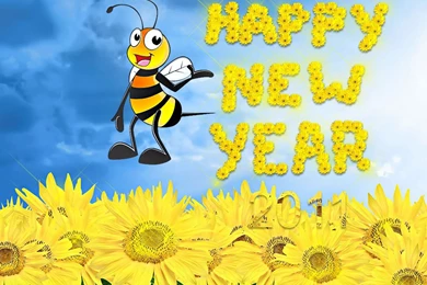 Happy New Year Wallpapers 49763 Desktop Wallpapers