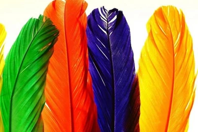 Best Wallpapers For Phone   Wallpapers Zone