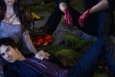 Nina Dobrev The Vampire Diaries Ian Somerhalder Wallpapers