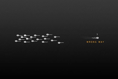 Funny Computer Wallpapers, Desktop Backgrounds