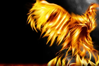 Dragon Flame Flame Dragon – Abstract Fantasy HD Desktop Wallpapers