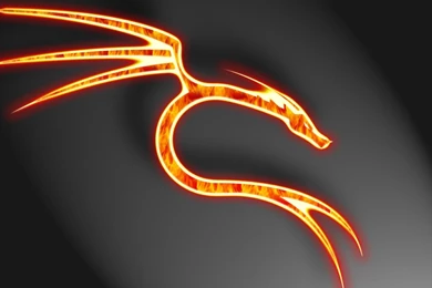 Wallpapers Fire Vs Water Dragon Djan Hd And Abstract Animals ...