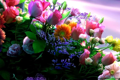 Flowers Wallpapers Free Download Windows 7