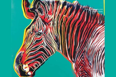 Wallpapers Andy Wharol Warhol Art Pictures 1024x768