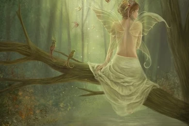 Fairy Wallpaper fairies 19507927 1024 768.jpg Photo By Effranks ...