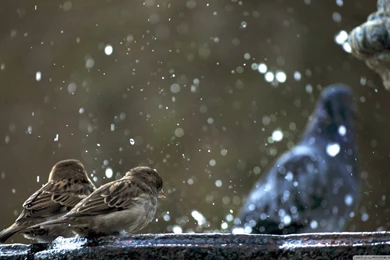 Wallpapers Java Programming Hd Jose S Blog 1366x768