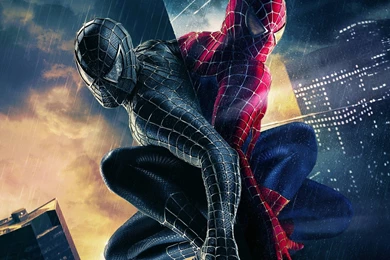HD Black Spiderman Wallpapers 1080p Full Size   HiReWallpapers 10556