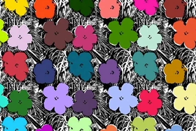 Andy Warhol   Wallpaper: Flowers Full Spectrum At 1stdibs