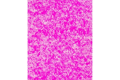 Flavor Paper Crowd (Where's Warhol) Andy Warhol 15' X 27" Abstract ...