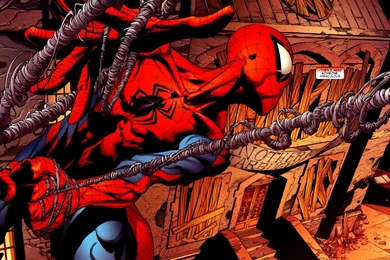 Spiderman Wallpapers 3G7   Image DM