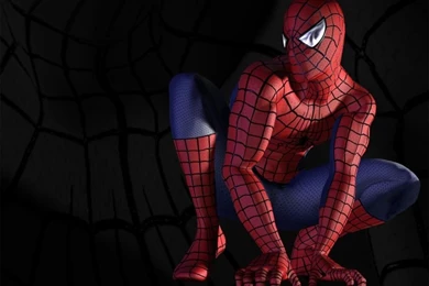 Spiderman Wallpapers HD   Wallpapers Cave