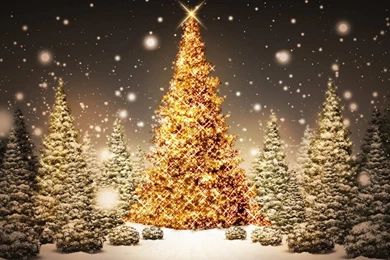 Free Christmas Wallpapers And Screensavers Best HD Desktop ...