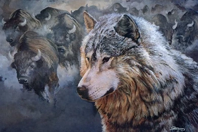 Wallpapers Sports Runing Buffalo Way Art Fantasy Native American ...