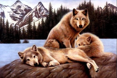 Wallpapers For Native American Wallpapers