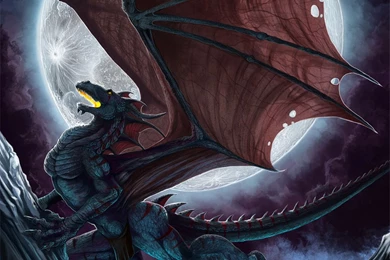 Angry Dragon   Dragons Wallpapers (24183149)   Fanpop